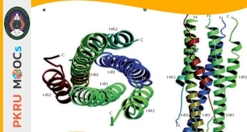 ชีวเคมี (Biochemistry) 8302301